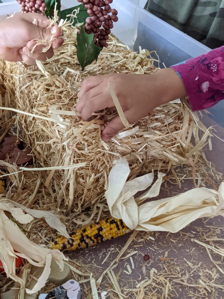 kids hand touch hay straw