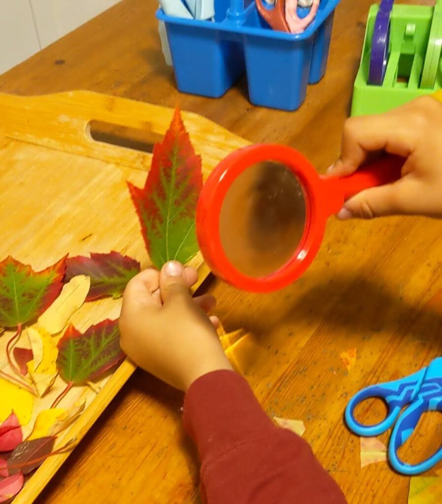 child magnifying glass fall leave investigation