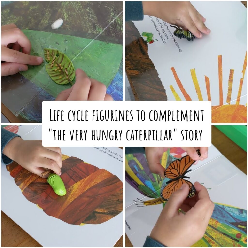 life cycle caterpillar figurines