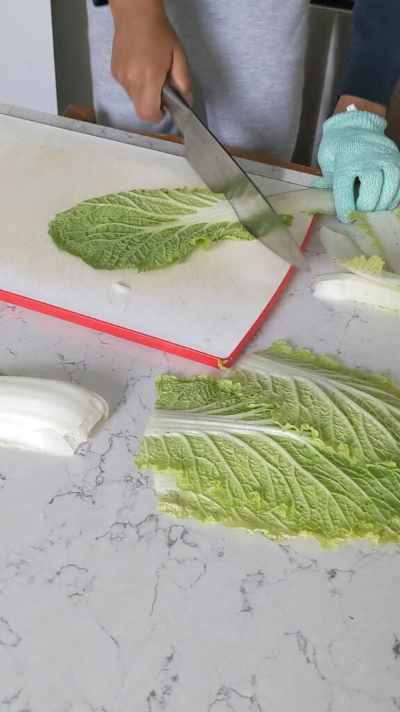 cutting cabbage for cabbage experiment